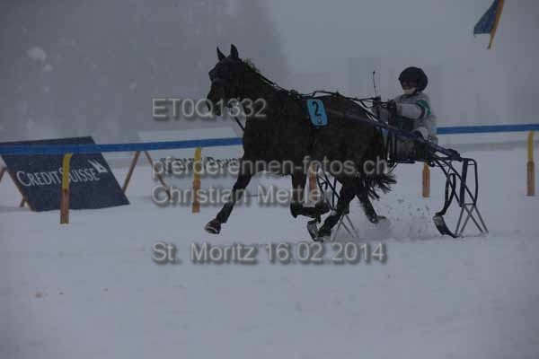 ET0Q1332 prot